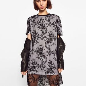 Zara lace dress/shirt